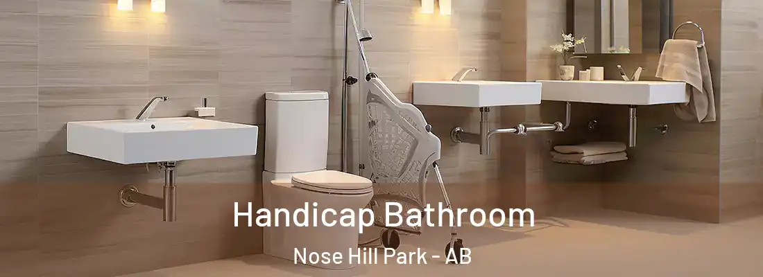  Handicap Bathroom Nose Hill Park - AB