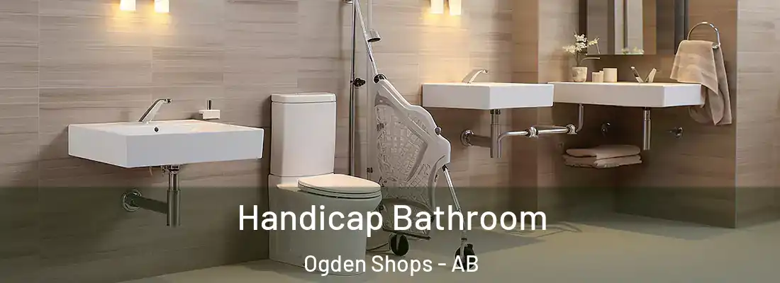  Handicap Bathroom Ogden Shops - AB