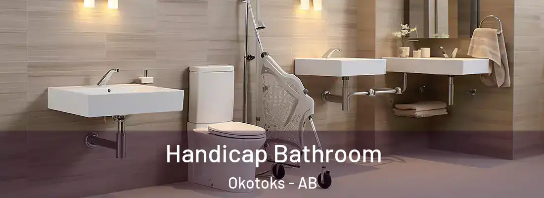 Handicap Bathroom Okotoks - AB