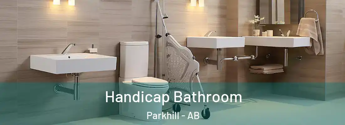 Handicap Bathroom Parkhill - AB