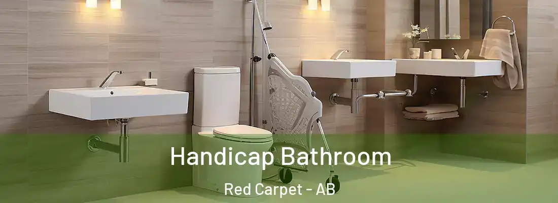  Handicap Bathroom Red Carpet - AB