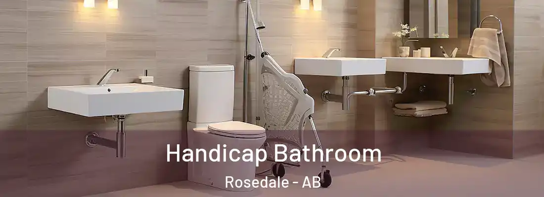  Handicap Bathroom Rosedale - AB
