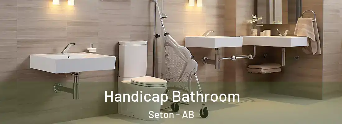  Handicap Bathroom Seton - AB