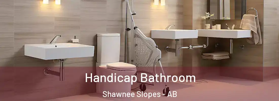  Handicap Bathroom Shawnee Slopes - AB