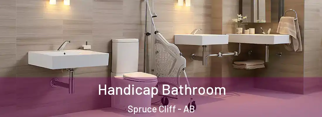  Handicap Bathroom Spruce Cliff - AB