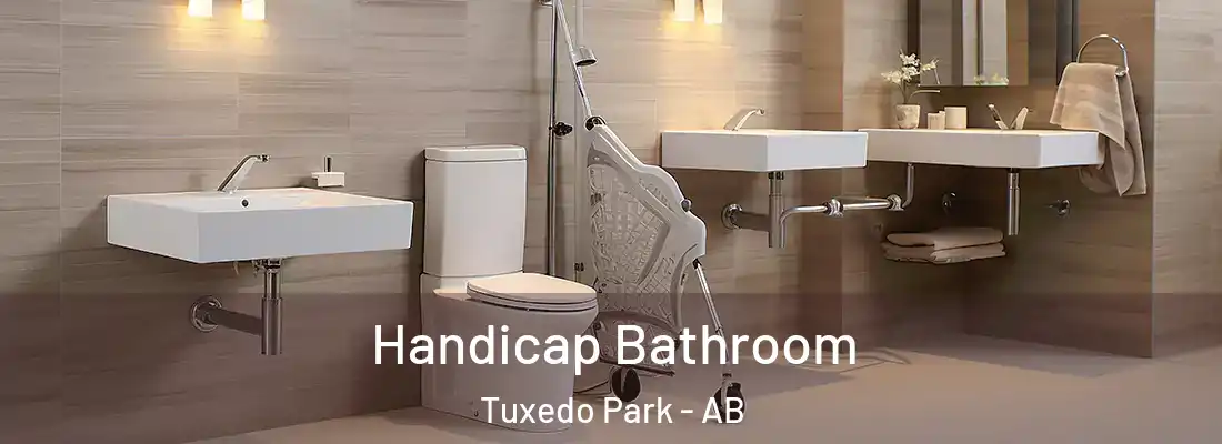  Handicap Bathroom Tuxedo Park - AB