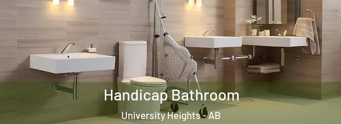  Handicap Bathroom University Heights - AB