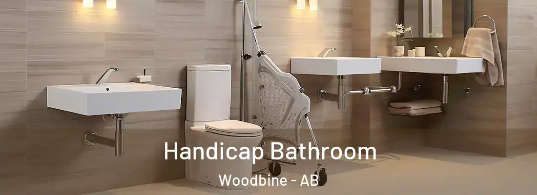  Handicap Bathroom Woodbine - AB