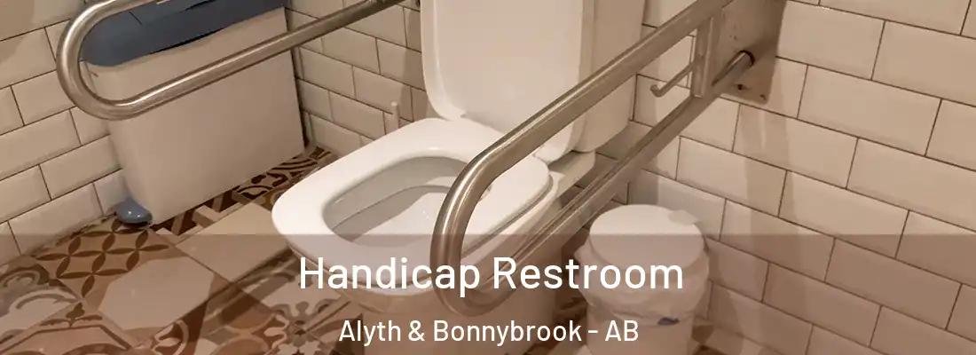  Handicap Restroom Alyth & Bonnybrook - AB