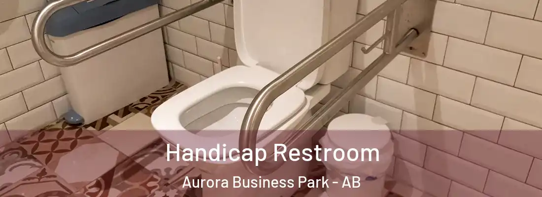  Handicap Restroom Aurora Business Park - AB