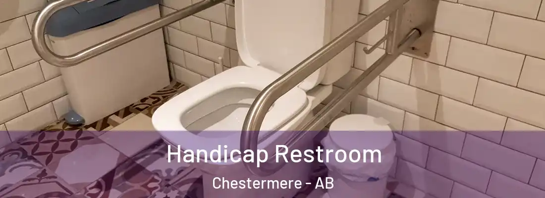  Handicap Restroom Chestermere - AB