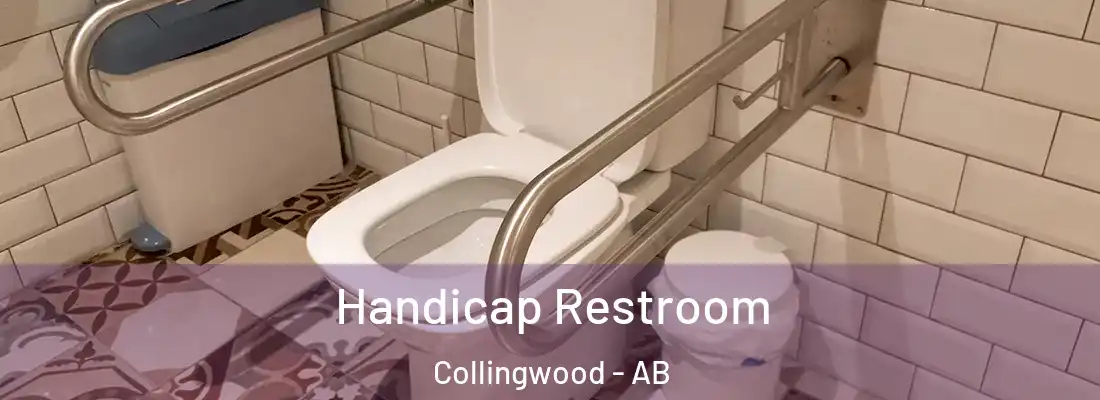  Handicap Restroom Collingwood - AB