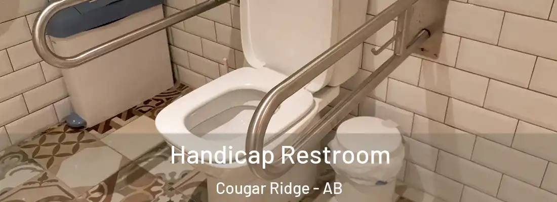  Handicap Restroom Cougar Ridge - AB