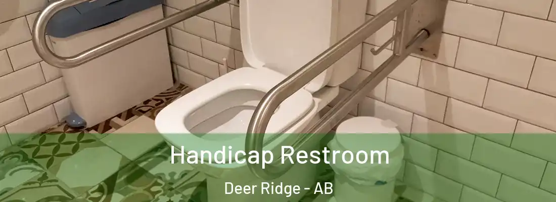  Handicap Restroom Deer Ridge - AB