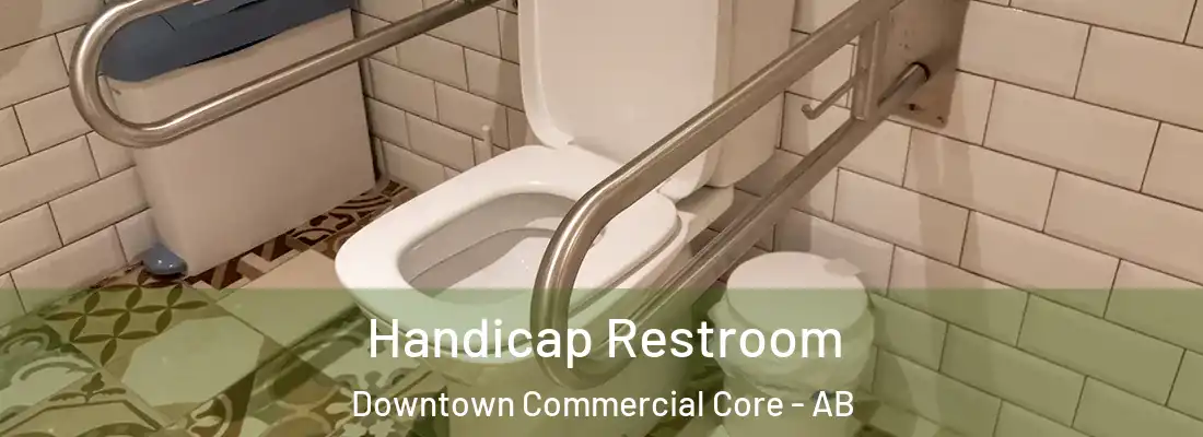  Handicap Restroom Downtown Commercial Core - AB