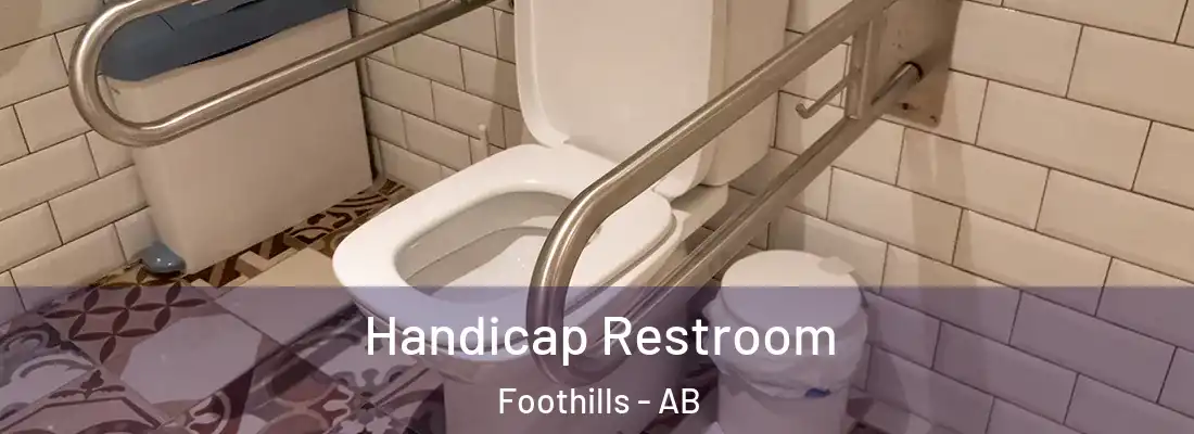  Handicap Restroom Foothills - AB