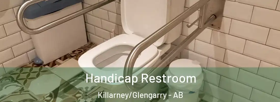  Handicap Restroom Killarney/Glengarry - AB