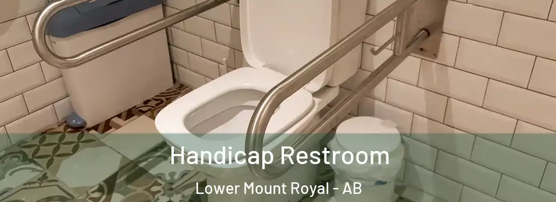  Handicap Restroom Lower Mount Royal - AB