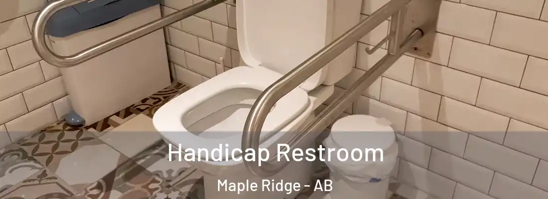  Handicap Restroom Maple Ridge - AB
