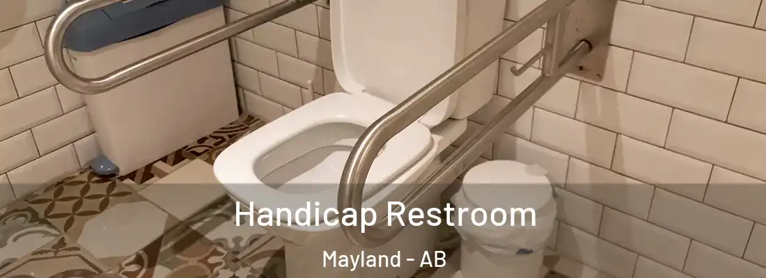  Handicap Restroom Mayland - AB
