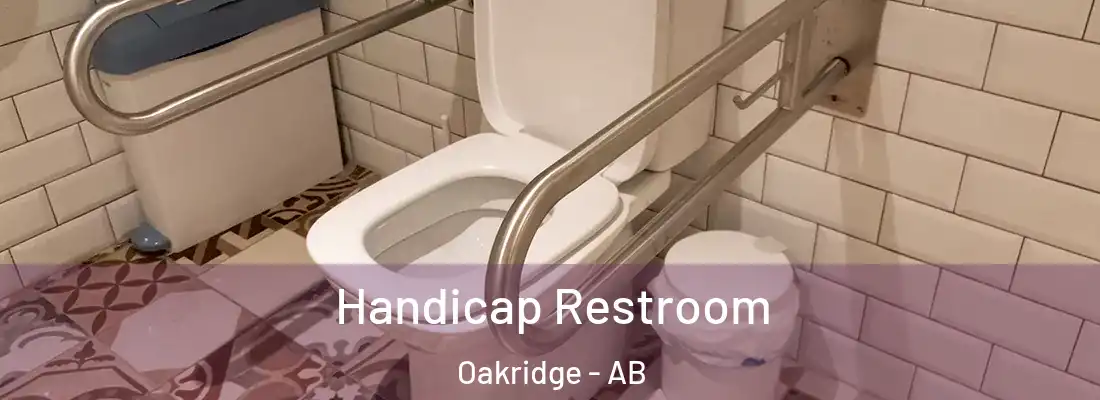  Handicap Restroom Oakridge - AB