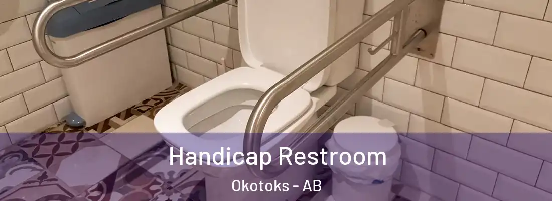 Handicap Restroom Okotoks - AB