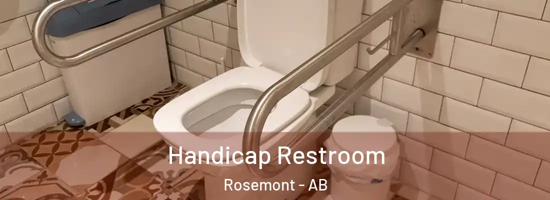  Handicap Restroom Rosemont - AB