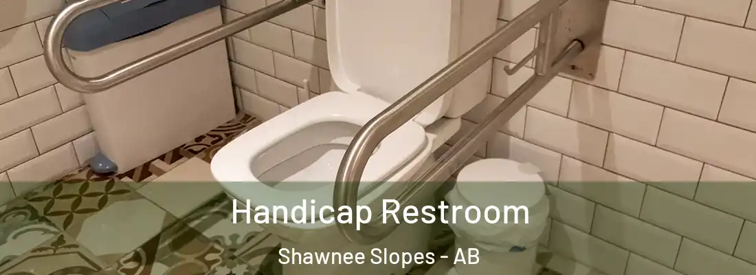  Handicap Restroom Shawnee Slopes - AB
