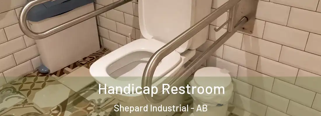  Handicap Restroom Shepard Industrial - AB