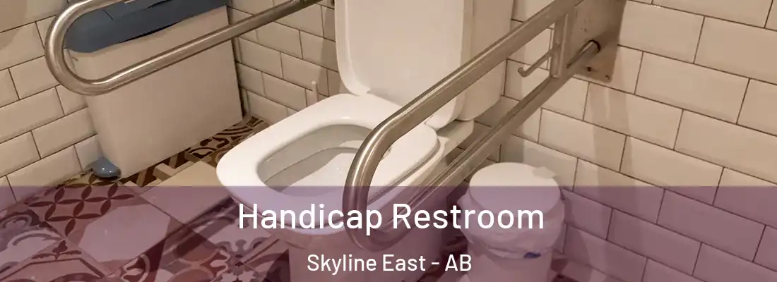  Handicap Restroom Skyline East - AB