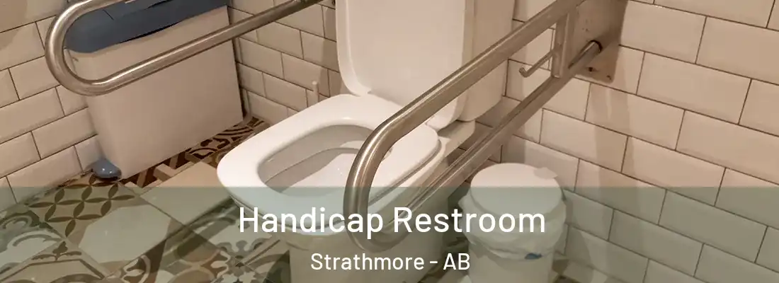  Handicap Restroom Strathmore - AB