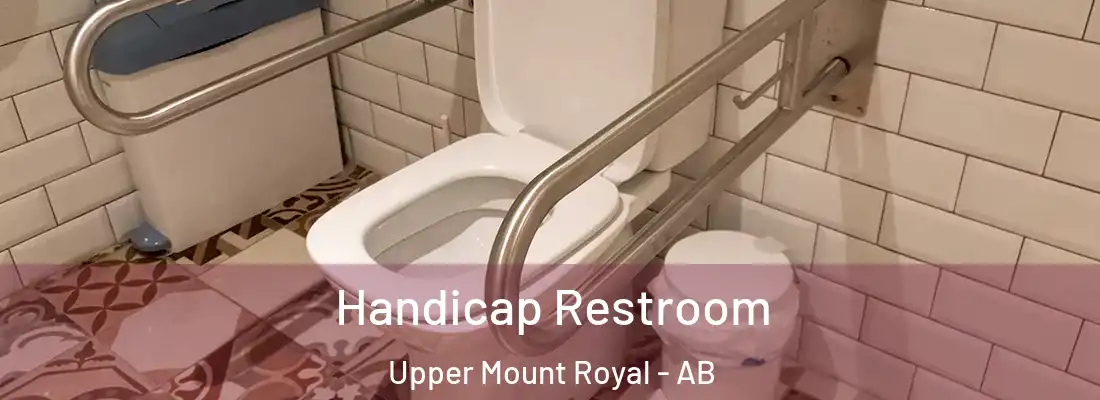  Handicap Restroom Upper Mount Royal - AB