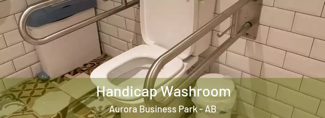  Handicap Washroom Aurora Business Park - AB