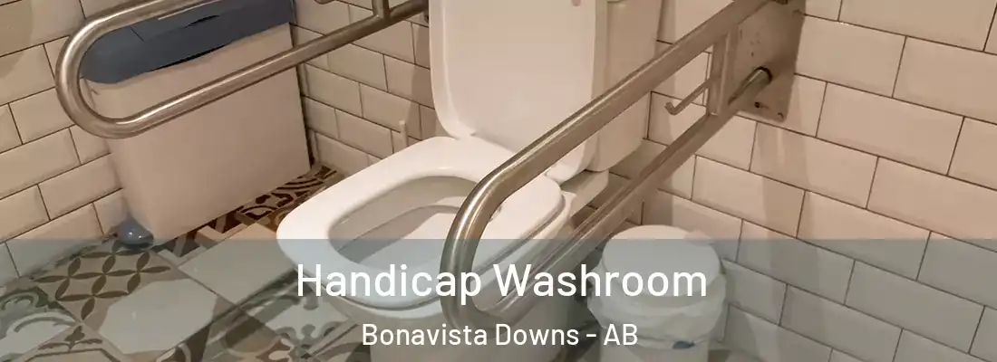  Handicap Washroom Bonavista Downs - AB