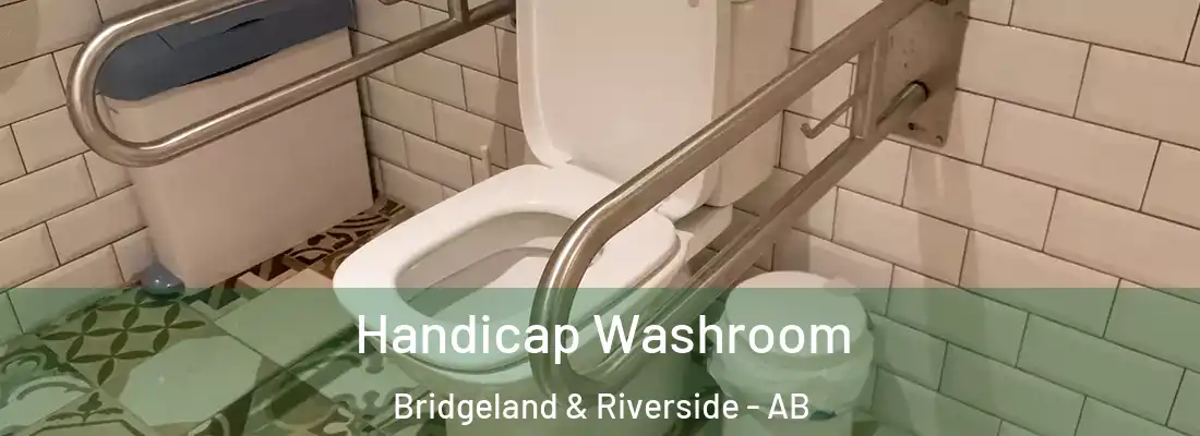 Handicap Washroom Bridgeland & Riverside - AB