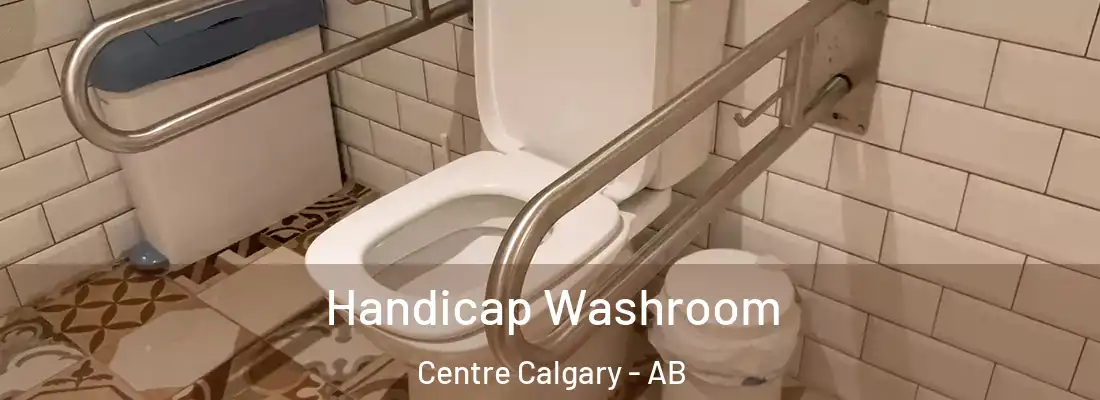  Handicap Washroom Centre Calgary - AB