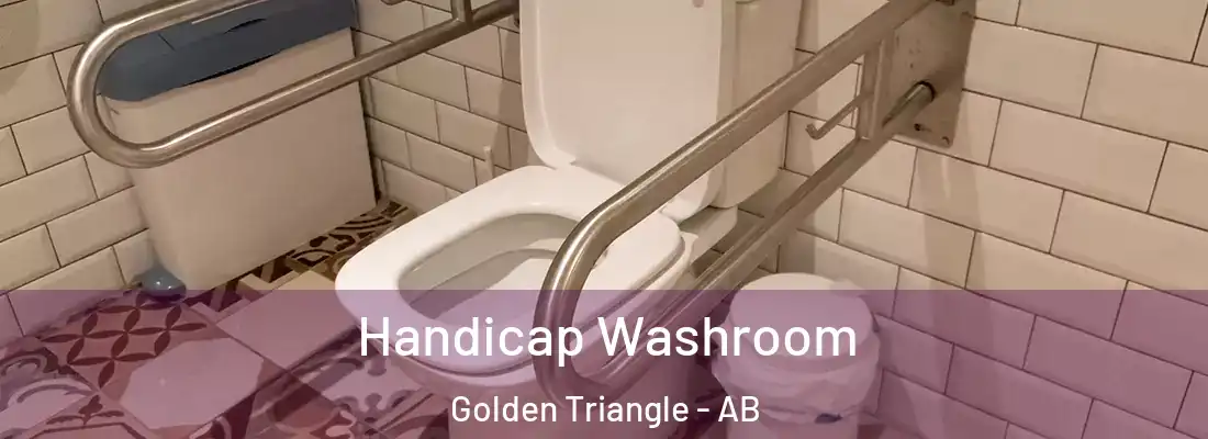  Handicap Washroom Golden Triangle - AB