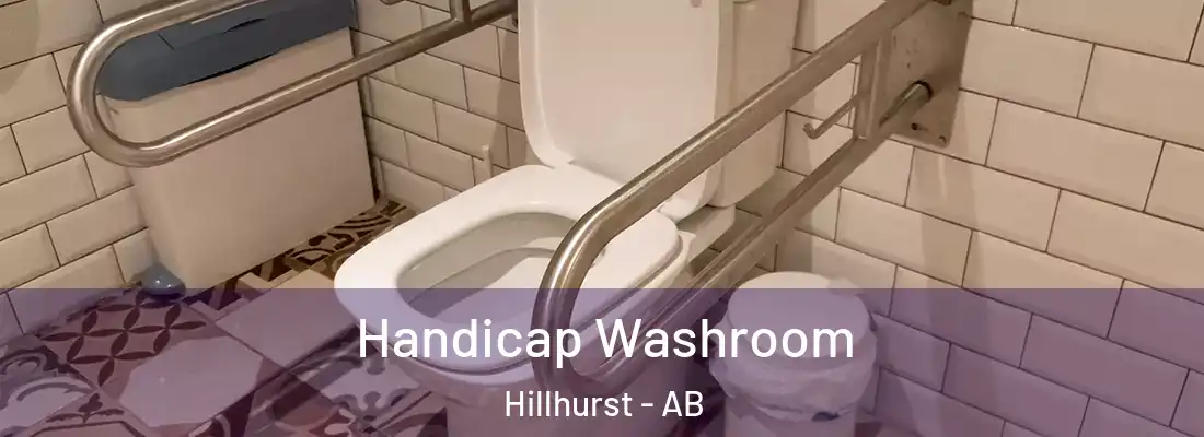  Handicap Washroom Hillhurst - AB