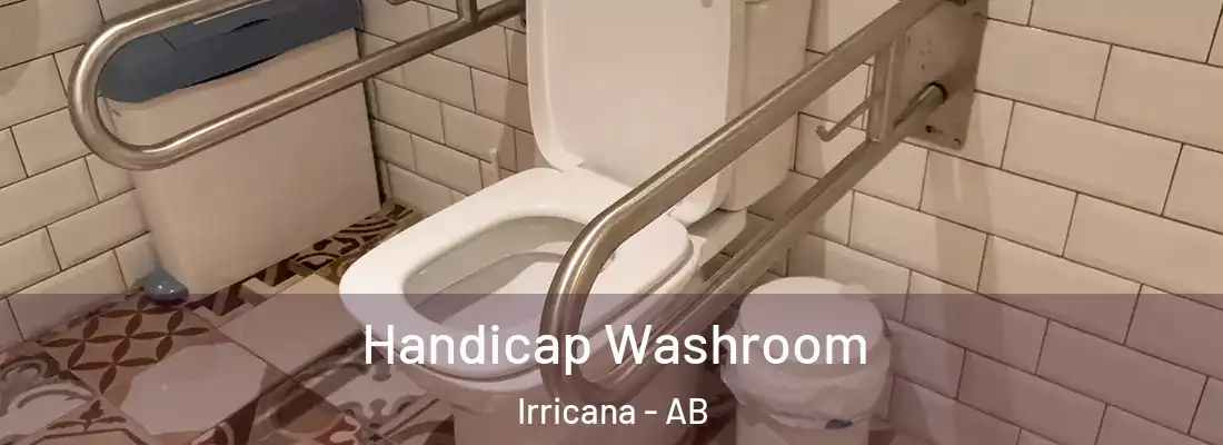  Handicap Washroom Irricana - AB