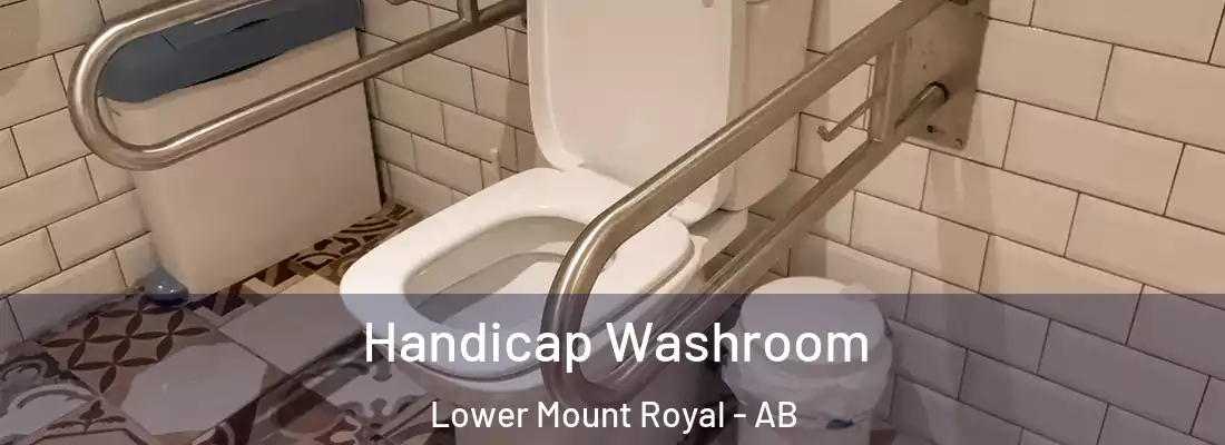  Handicap Washroom Lower Mount Royal - AB