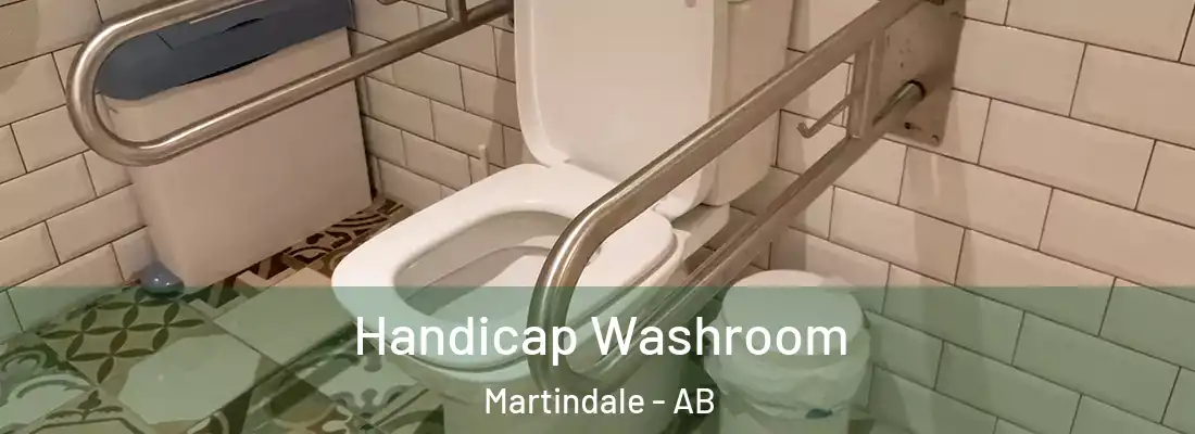  Handicap Washroom Martindale - AB