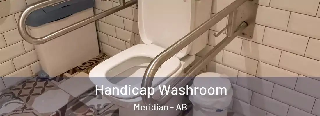  Handicap Washroom Meridian - AB