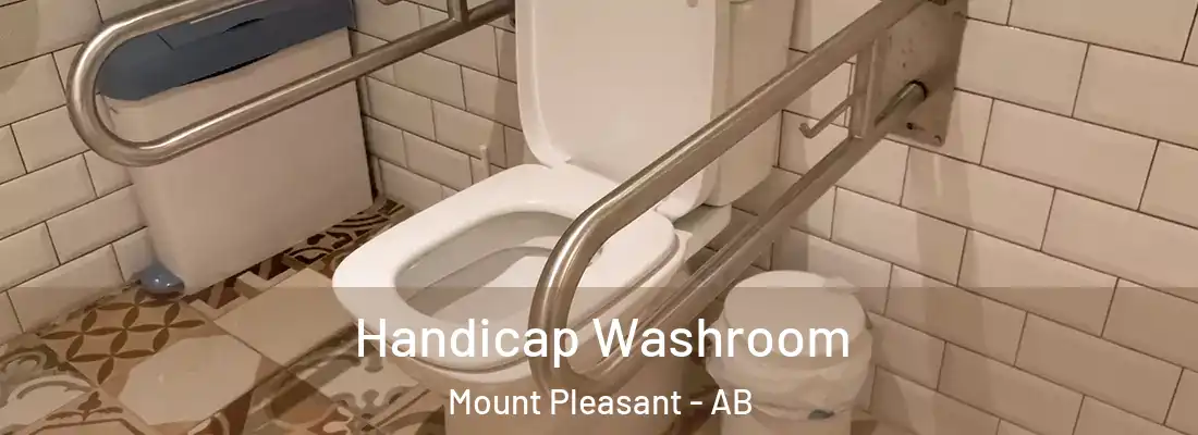  Handicap Washroom Mount Pleasant - AB