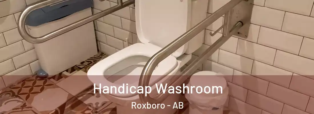  Handicap Washroom Roxboro - AB