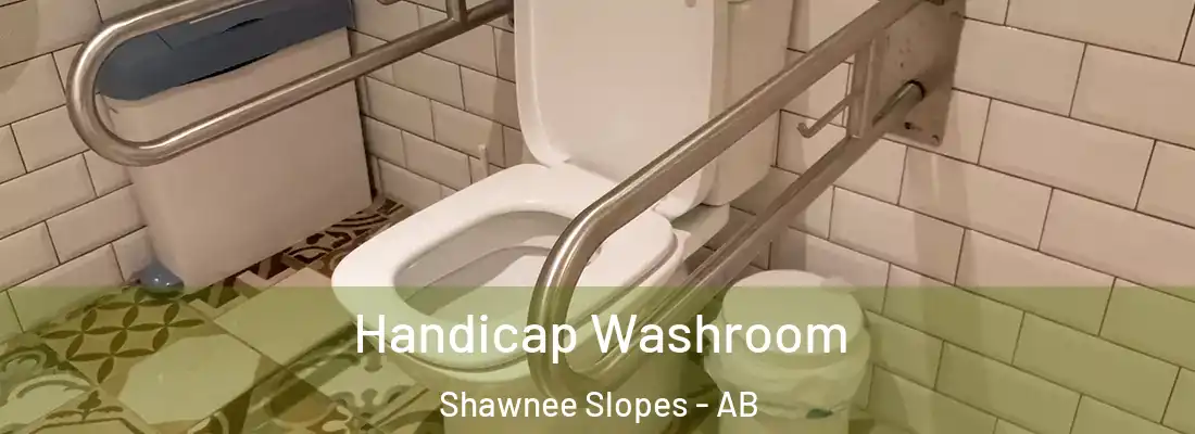  Handicap Washroom Shawnee Slopes - AB