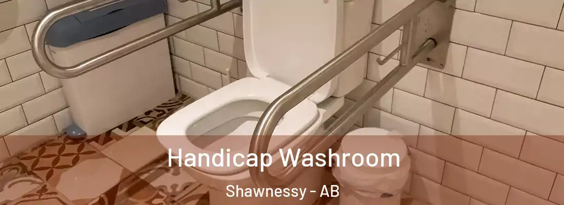  Handicap Washroom Shawnessy - AB