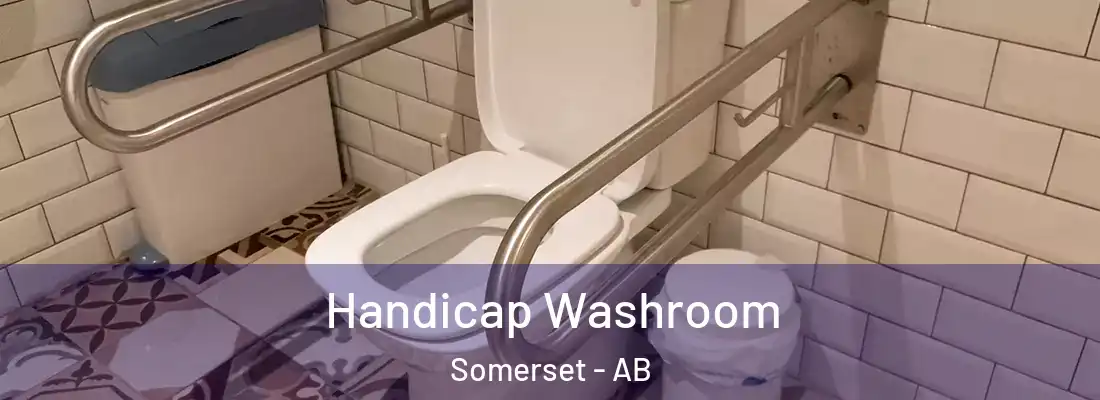  Handicap Washroom Somerset - AB