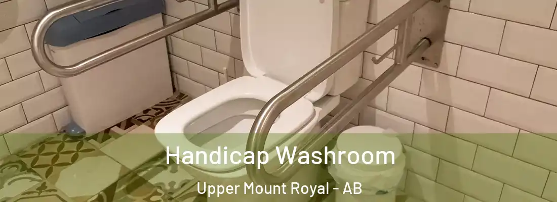  Handicap Washroom Upper Mount Royal - AB