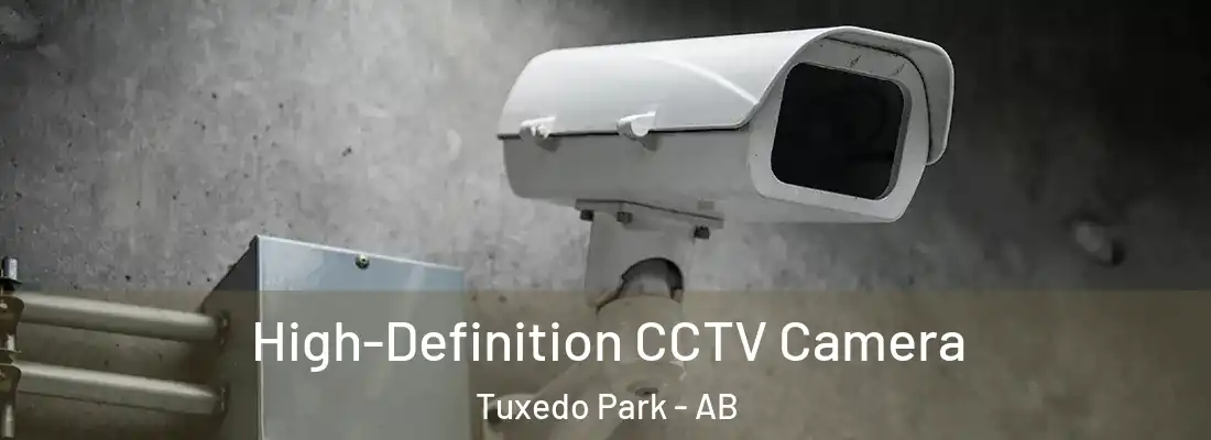  High-Definition CCTV Camera Tuxedo Park - AB