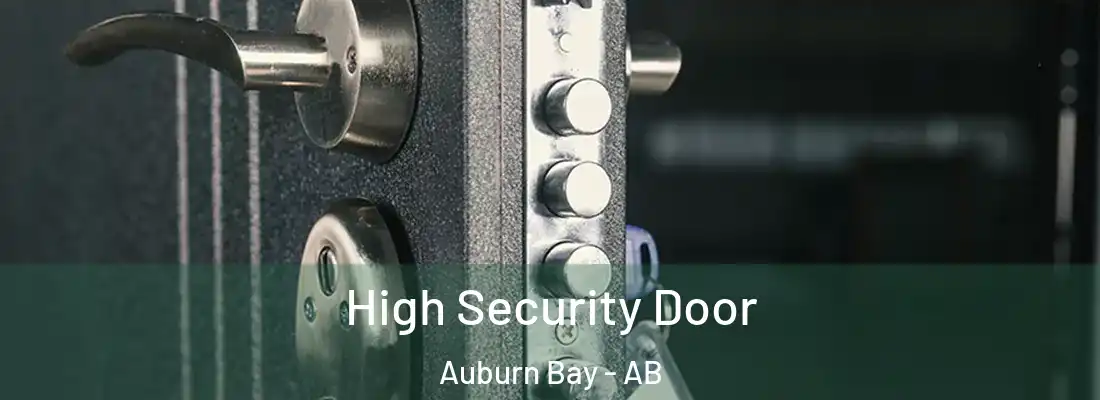  High Security Door Auburn Bay - AB